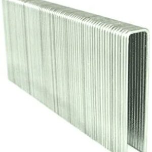 N21 STAPLES 2" (10.000) (CFPS)