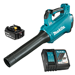 18V LXT Cordless Turbo Blower + Cordless AFT String Trimmer
